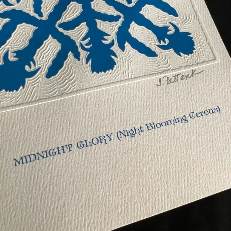 Midnight Gloryブルー